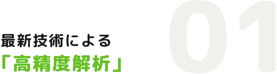 最新技術による「高精度解析」