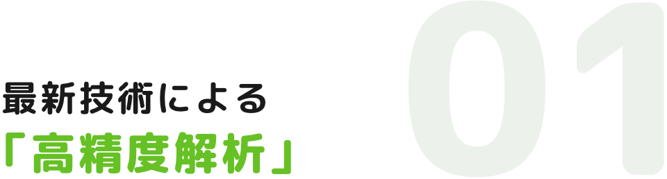 最新技術による「高精度解析」