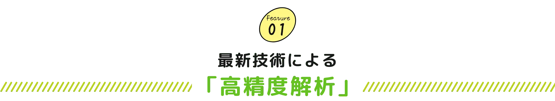最新技術による「高精度解析」