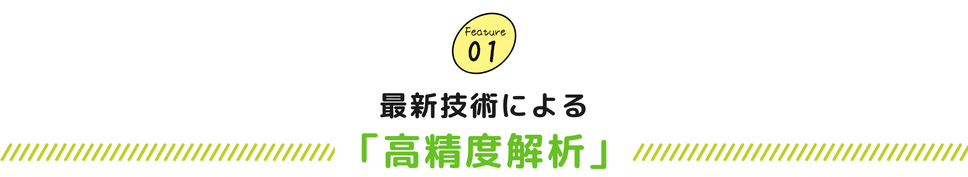 最新技術による「高精度解析」