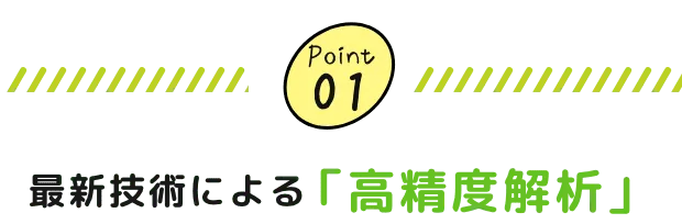 最新技術による「高精度解析」