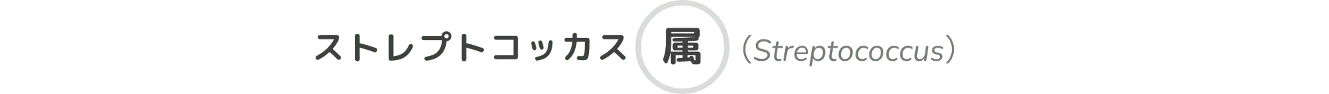 ストレプトコッカス属