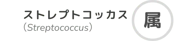 ストレプトコッカス属