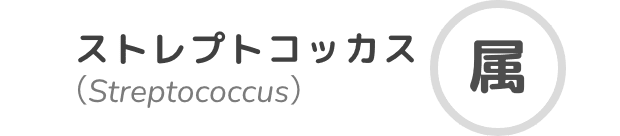 ストレプトコッカス属
