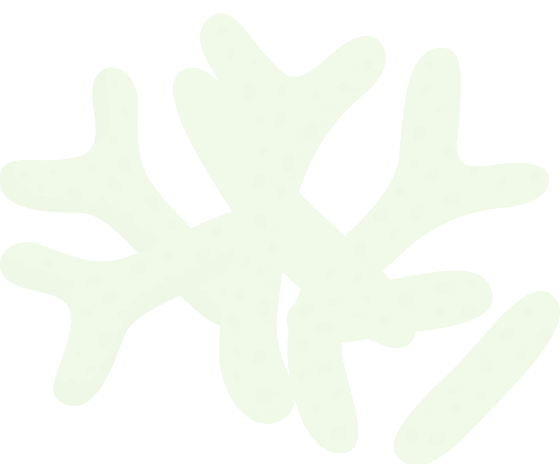 flora