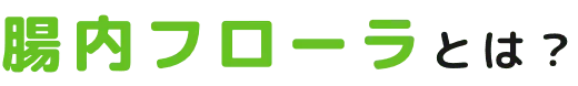 腸内フローラとは?