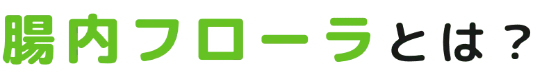 腸内フローラとは?