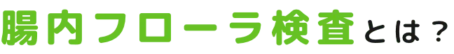 腸内フローラ検査とは?