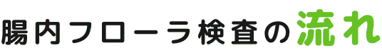 腸内フローラ検査の流れ